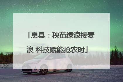 息县：秧苗绿浪接麦浪 科技赋能抢农时