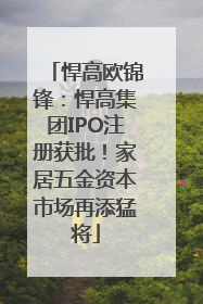 悍高欧锦锋：悍高集团IPO注册获批！家居五金资本市场再添猛将