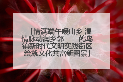 情满端午暖山乡 温情脉动润乡邻——鸬鸟镇新时代文明实践街区绘就文化共富新图景