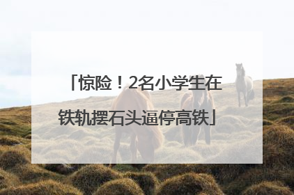惊险！2名小学生在铁轨摆石头逼停高铁