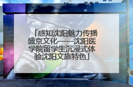 感知沈阳魅力传播盛京文化——沈阳医学院留学生沉浸式体验沈阳文旅特色