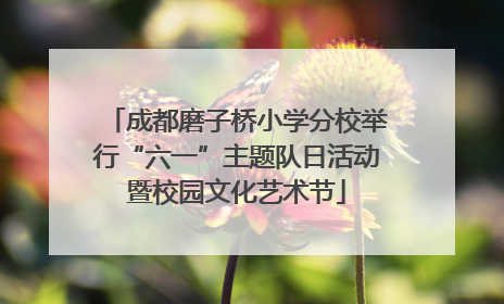 成都磨子桥小学分校举行“六一”主题队日活动暨校园文化艺术节