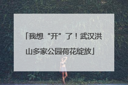 我想“开”了！武汉洪山多家公园荷花绽放