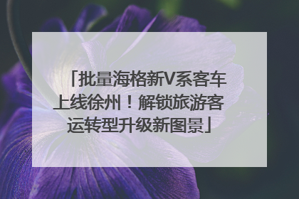 批量海格新V系客车上线徐州！解锁旅游客运转型升级新图景