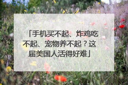 手机买不起、炸鸡吃不起、宠物养不起？这届美国人活得好难