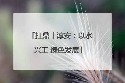 扛鼎丨淳安：以水兴工 绿色发展