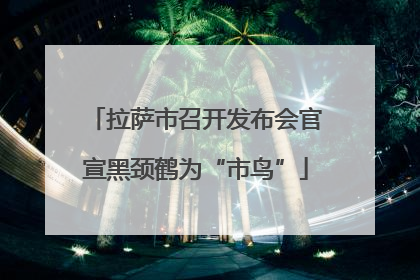 拉萨市召开发布会官宣黑颈鹤为“市鸟”