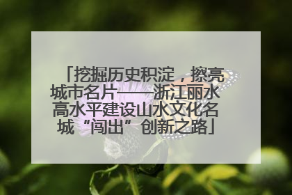 挖掘历史积淀，擦亮城市名片——浙江丽水高水平建设山水文化名城“闯出”创新之路
