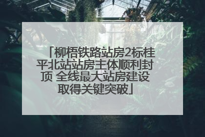 柳梧铁路站房2标桂平北站站房主体顺利封顶 全线最大站房建设取得关键突破