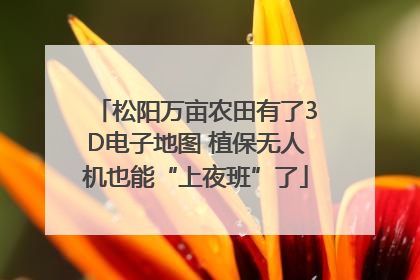 松阳万亩农田有了3D电子地图 植保无人机也能“上夜班”了