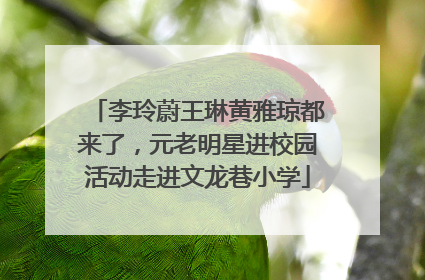 李玲蔚王琳黄雅琼都来了，元老明星进校园活动走进文龙巷小学