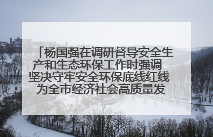 杨国强在调研督导安全生产和生态环保工作时强调 坚决守牢安全环保底线红线 为全市经济社会高质量发展提供坚强保障