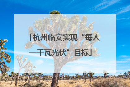 杭州临安实现“每人一千瓦光伏”目标