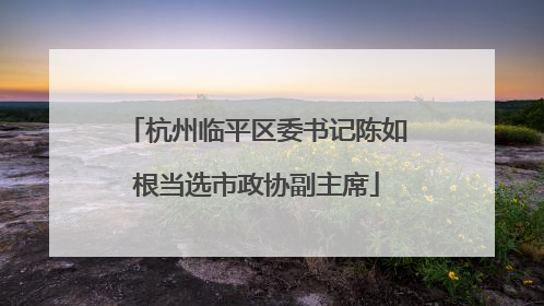 杭州临平区委书记陈如根当选市政协副主席