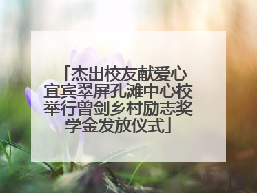 杰出校友献爱心 宜宾翠屏孔滩中心校举行曾剑乡村励志奖学金发放仪式