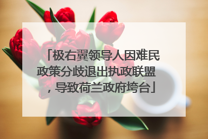 极右翼领导人因难民政策分歧退出执政联盟，导致荷兰政府垮台