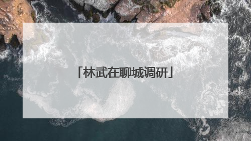 林武在聊城调研