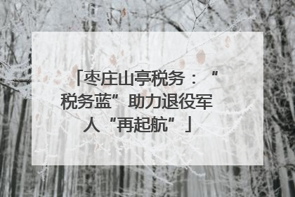 枣庄山亭税务：“税务蓝”助力退役军人“再起航”