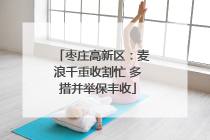 枣庄高新区：麦浪千重收割忙 多措并举保丰收
