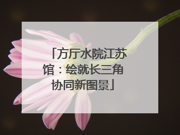 方厅水院江苏馆：绘就长三角协同新图景