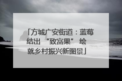 方城广安街道：蓝莓结出 “致富果” 绘就乡村振兴新图景