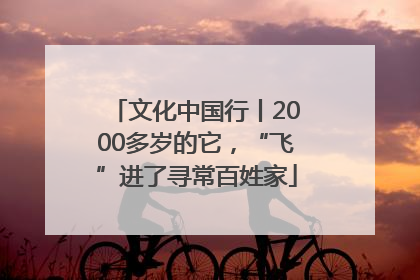 文化中国行丨2000多岁的它，“飞”进了寻常百姓家