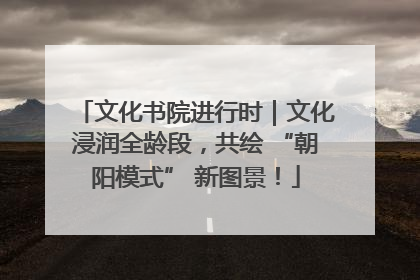 文化书院进行时｜文化浸润全龄段，共绘 “朝阳模式” 新图景！