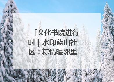 文化书院进行时｜水印蓝山社区：粽情暖邻里，端午共安康