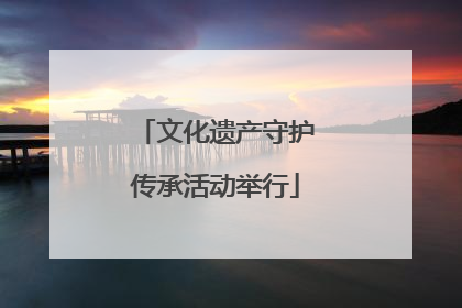 文化遗产守护传承活动举行