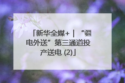 新华全媒+｜“疆电外送”第三通道投产送电 (2)