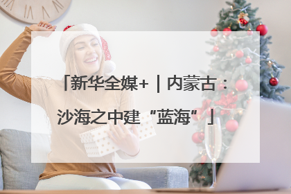 新华全媒+｜内蒙古：沙海之中建“蓝海”