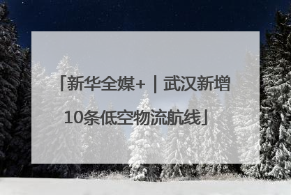 新华全媒+｜武汉新增10条低空物流航线