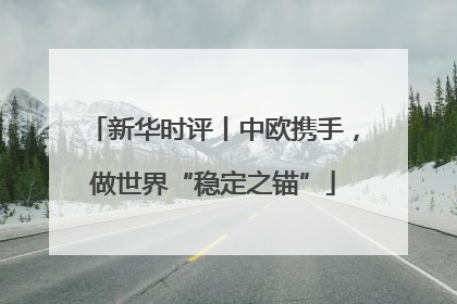 新华时评丨中欧携手，做世界“稳定之锚”
