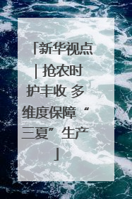新华视点｜抢农时 护丰收 多维度保障“三夏”生产