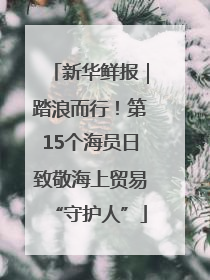 新华鲜报｜踏浪而行！第15个海员日致敬海上贸易“守护人”