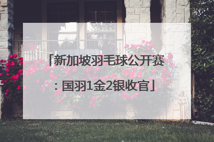 新加坡羽毛球公开赛：国羽1金2银收官