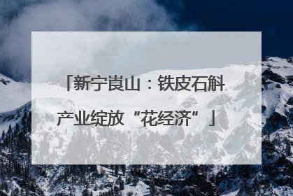 新宁崀山：铁皮石斛产业绽放“花经济”