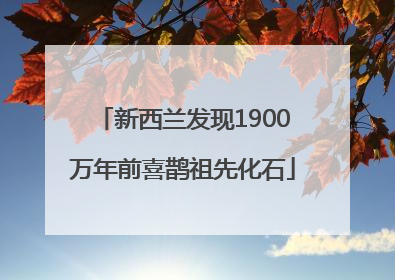 新西兰发现1900万年前喜鹊祖先化石