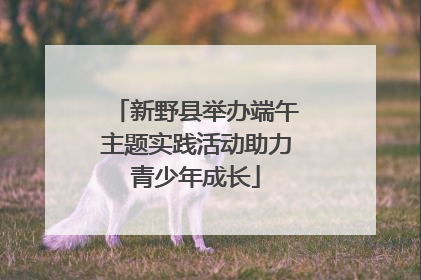 新野县举办端午主题实践活动助力青少年成长