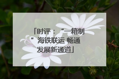 时评：“一箱制”海铁联运 畅通发展新通道