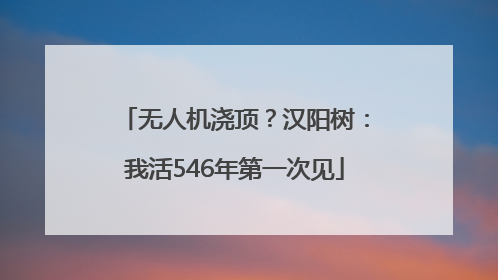 无人机浇顶？汉阳树：我活546年第一次见