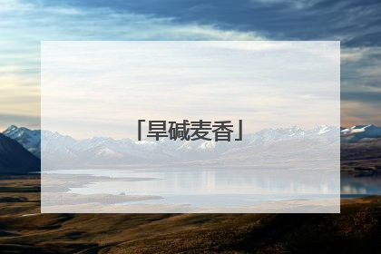 旱碱麦香