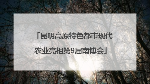 昆明高原特色都市现代农业亮相第9届南博会