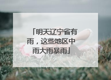 明天辽宁省有雨，这些地区中雨大雨暴雨