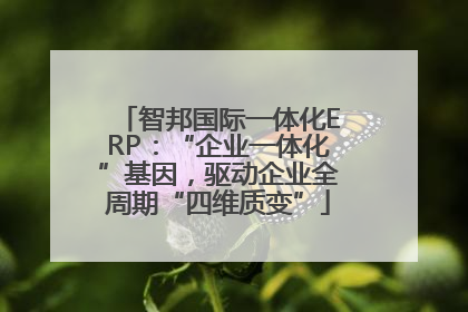 智邦国际一体化ERP：“企业一体化”基因，驱动企业全周期“四维质变”