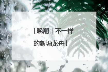 晚潮｜不一样的新塘龙舟