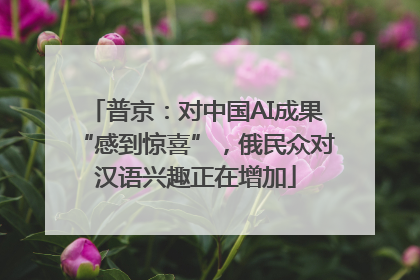 普京：对中国AI成果“感到惊喜”，俄民众对汉语兴趣正在增加