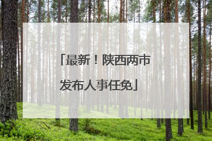 最新！陕西两市发布人事任免