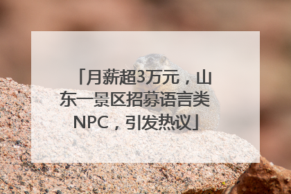 月薪超3万元，山东一景区招募语言类NPC，引发热议