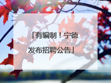 有编制！宁德发布招聘公告